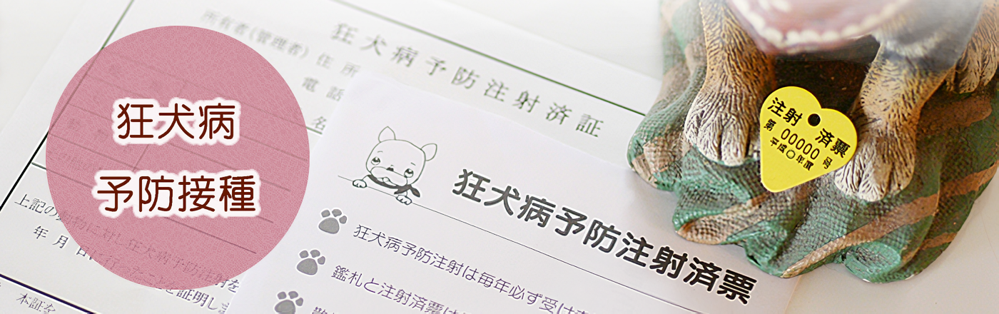 狂犬病予防接種